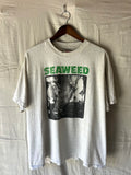 1993 Seaweed Four