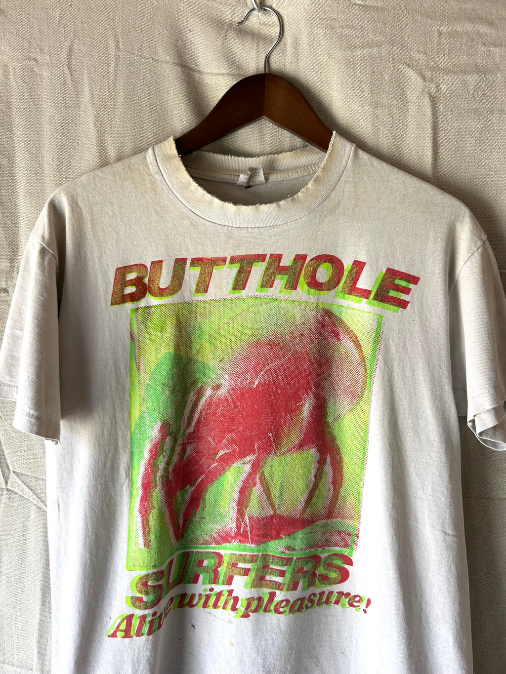 1980s Butthole Surfers Alive With Pleasure Don Rock