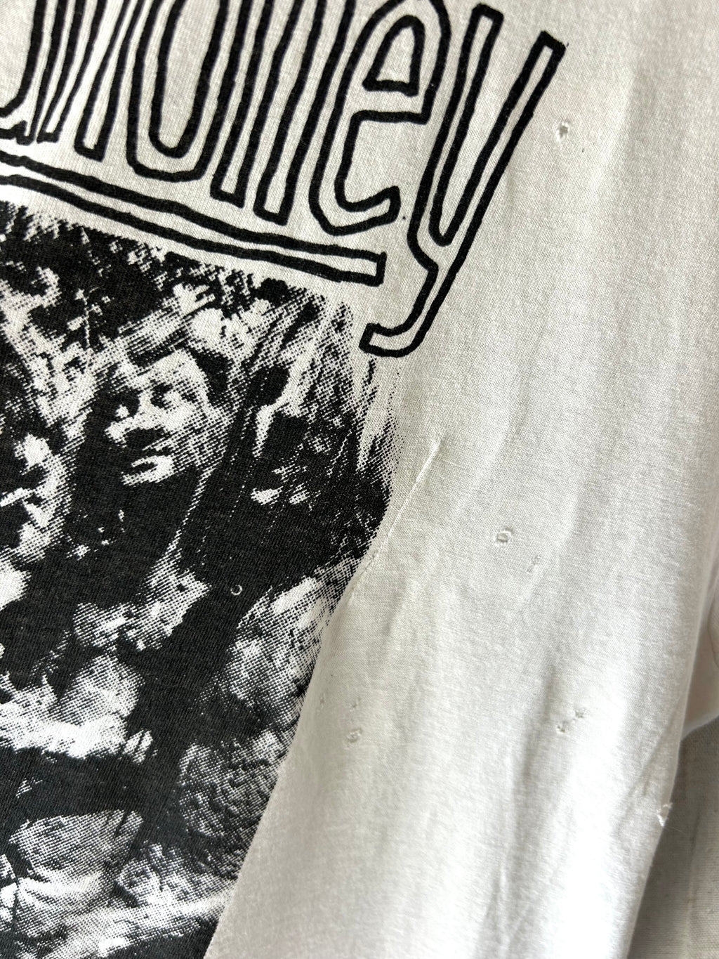 1980s Mudhoney You Are Nothing