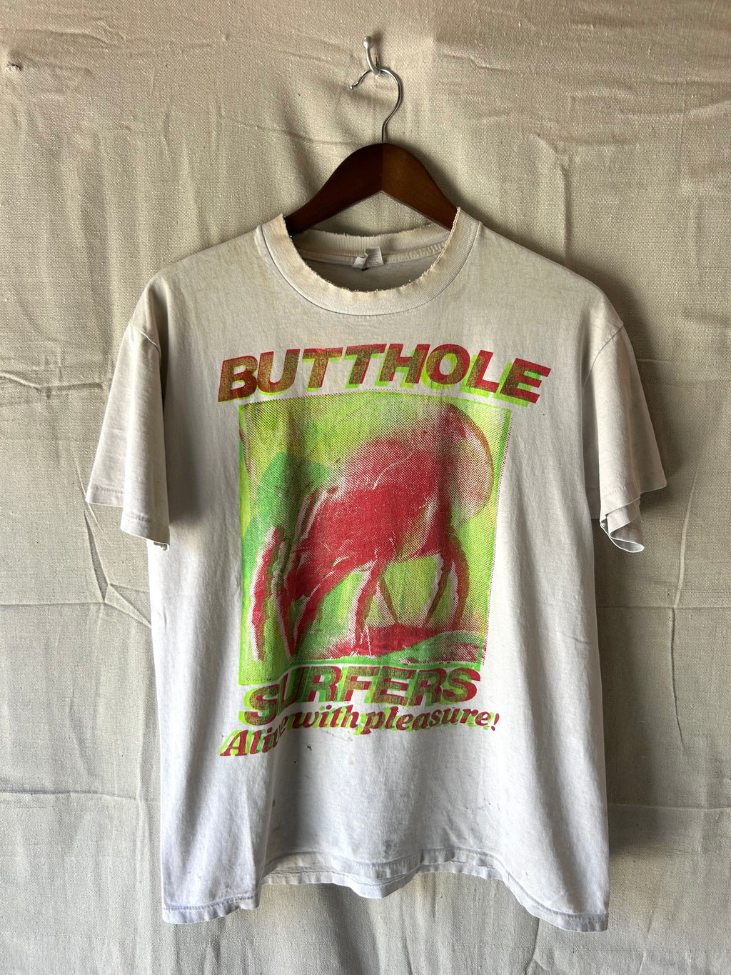 1980s Butthole Surfers Alive With Pleasure Don Rock